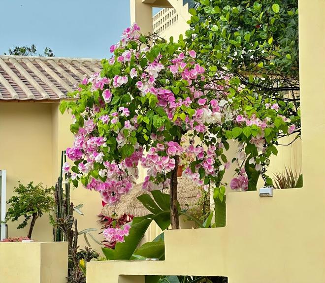 海亲子游5天4晚价格跟团五日游报价开元棋牌北海亲子跟团游多少钱？北(图7)